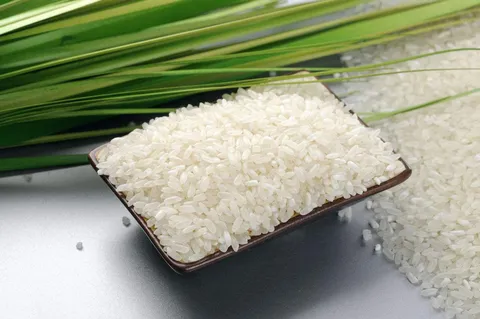 五常大米的口感会随着季节改变吗？五常大米多少钱一斤？