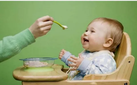 婴儿辅食添加的重要性 婴儿辅食添