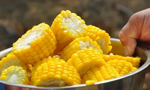 水果玉米，粘玉米，普通玉米哪个营养价