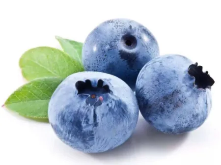 蓝莓上面白色东西是什么？蓝莓表面的
