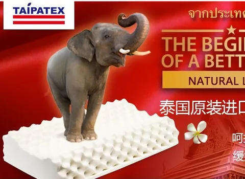 泰国哪个牌子的乳胶枕最好？盘点泰国最好用的乳胶枕