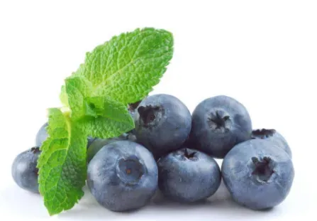 蓝莓果上的白霜是不是蓝莓营养的精