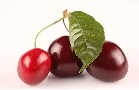 常吃樱桃可以降尿酸？樱桃降尿酸有什