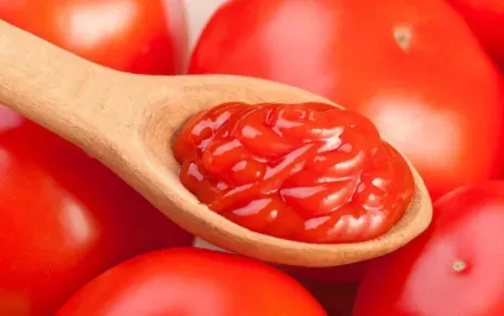 西红柿能单独做酵素吗？西红柿酵素的功效与作用？