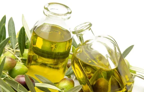 多吃橄榄油可以预防心脏病吗？对心脏病有何预防作用？