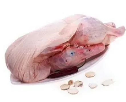 冰冻鸭肉鱼肉真的能吃吗？相比活鸭营养上有何差异？