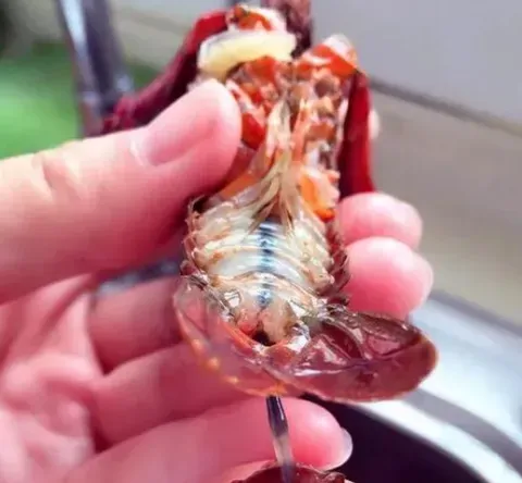 小龙虾怎么杀？跟着大厨学习正确杀小龙虾的方法？