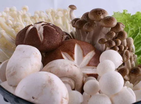 菌菇类食材做之前要不要焯水？焯水的目的是什么？