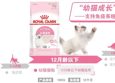 幼猫猫粮买哪种最好？推荐几款适合幼猫的猫粮品牌