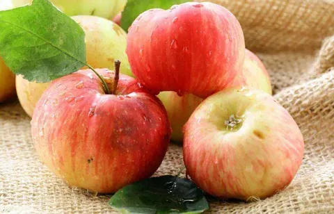 冬季多吃山楂和苹果能预防感冒吗？真能提高免疫力吗？
