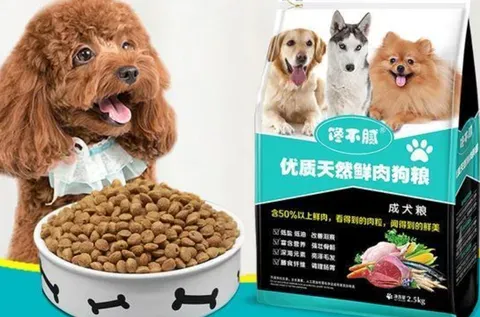 狗狗吃什么食物是“致命”的？推荐营养丰富好吸收狗粮？