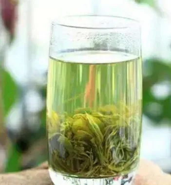 绿茶用什么茶具泡茶最佳？冲泡几次茶汤滋味开始变淡