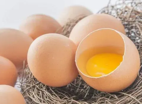 鸡蛋壳给花施肥能直接用吗？如何用鸡