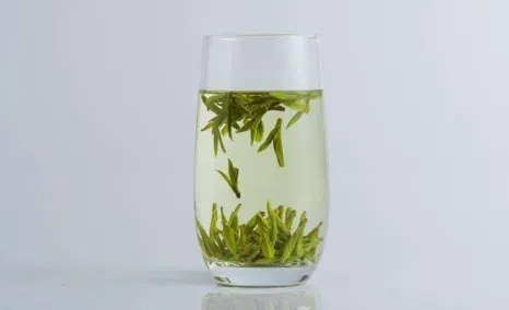 西湖龙井和信阳毛尖茶哪个好喝？选择哪一种茶叶最好？