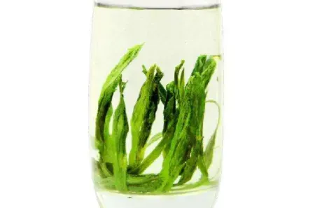 名优绿茶怎么泡比较好喝？如何正确冲泡名优绿茶？